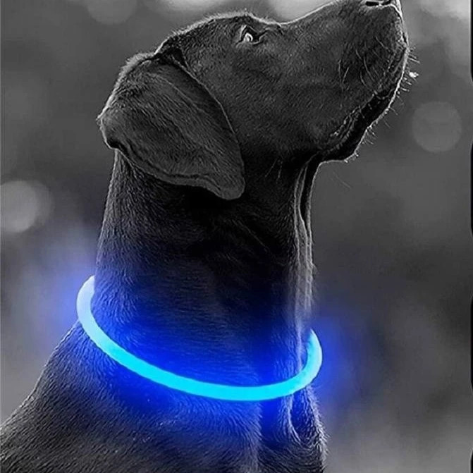 قلاده LED سگ و گربه چراغدار سگ شبرنگ قابل شارژ همراه با کابل شارژUSB